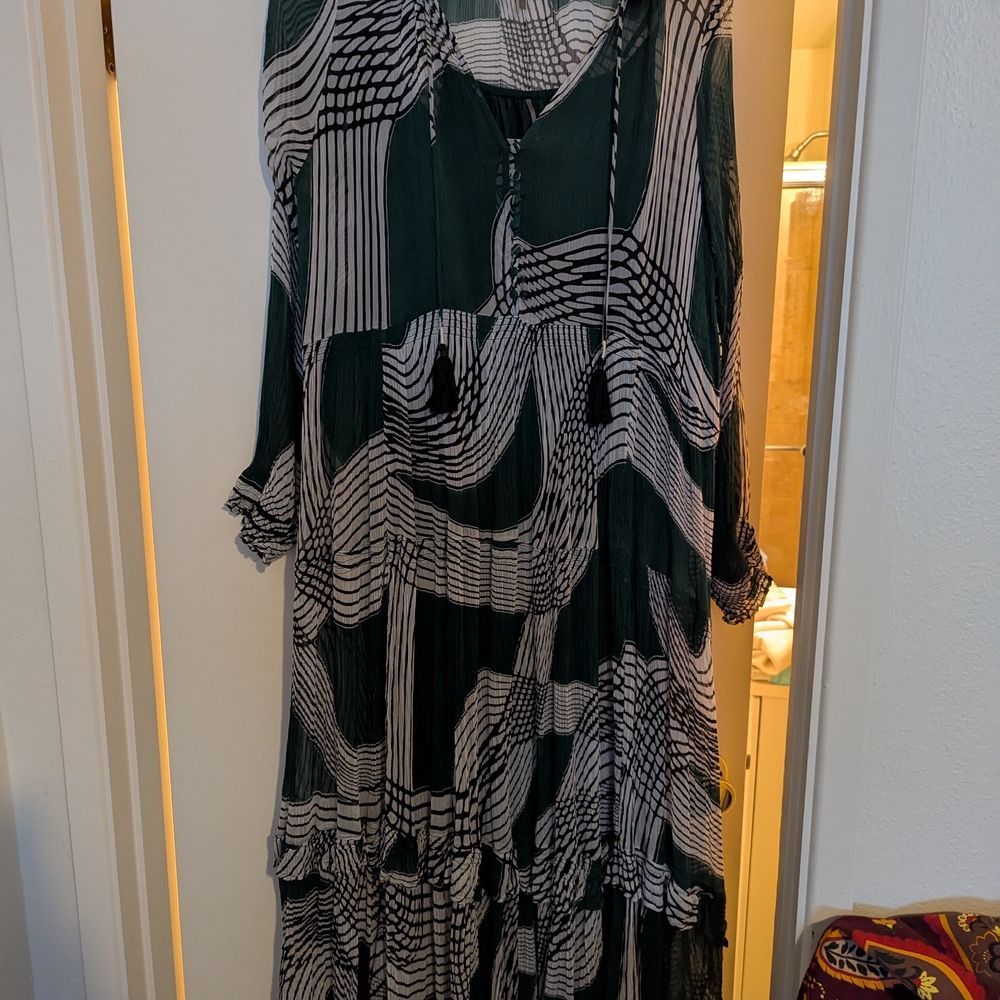 Anthropologie Green and White Long Sleeve Dress